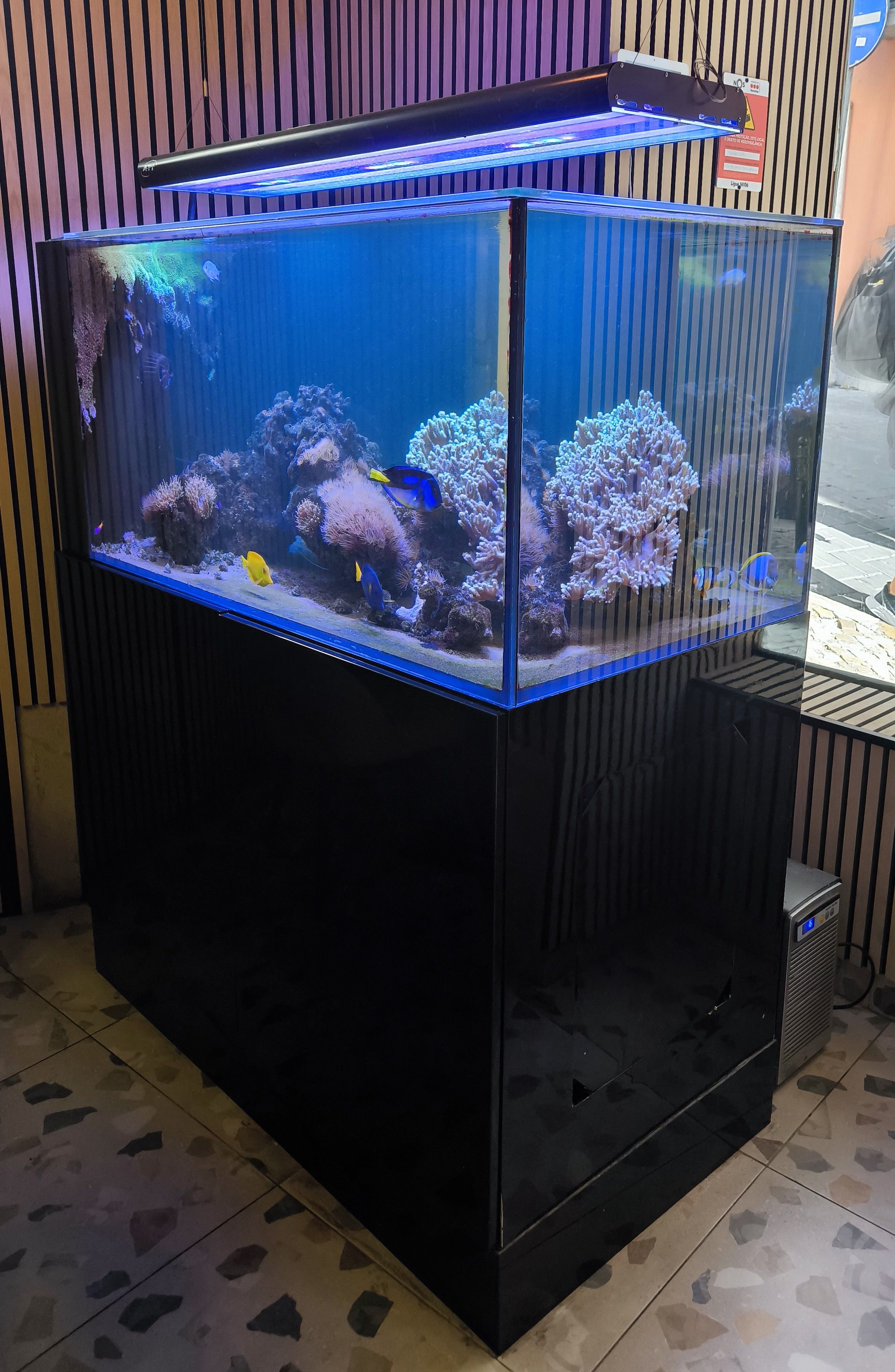More information about "Aquário + Sump + Deposito + Móvel"