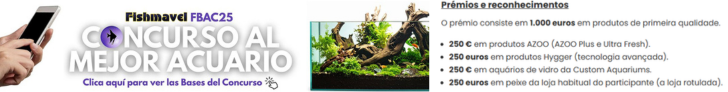 Concurso Fishmavel para o melhor aquário FBAC 2025