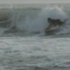 Angelsurf