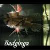 Badginga