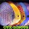 CTX-DISCUS